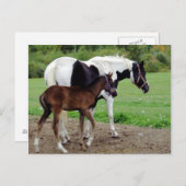 zura3 ポストカード (正面/裏面)