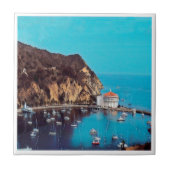 zUS009 SANTA CATALINA ISLAND，カリフォルニア州， タイル (正面)