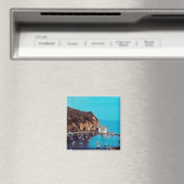 zUS009 SANTA CATALINA ISLAND，カリフォルニア州，冷蔵庫 マグネット (インサイチュ (食洗機))