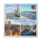 zUS025 FLORIDA，モザイク，アメリカ， タイル (正面)