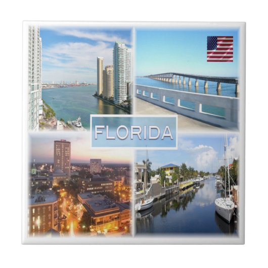 zUS025 FLORIDA，モザイク，アメリカ， タイル (正面)