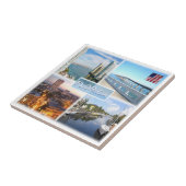 zUS025 FLORIDA，モザイク，アメリカ， タイル (側面)