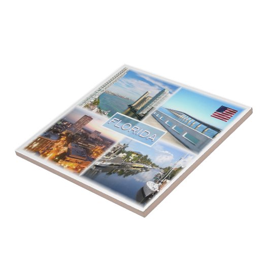 zUS025 FLORIDA，モザイク，アメリカ， タイル (側面)