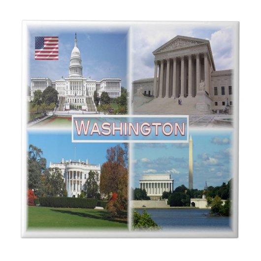 ZUS026 WASHINGTON,モザイク,アメリカ, タイル (正面)