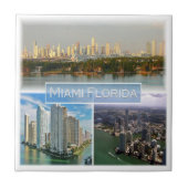 zUS038マイアミ、フロリダ、モザイク、アメリカ、 タイル (正面)