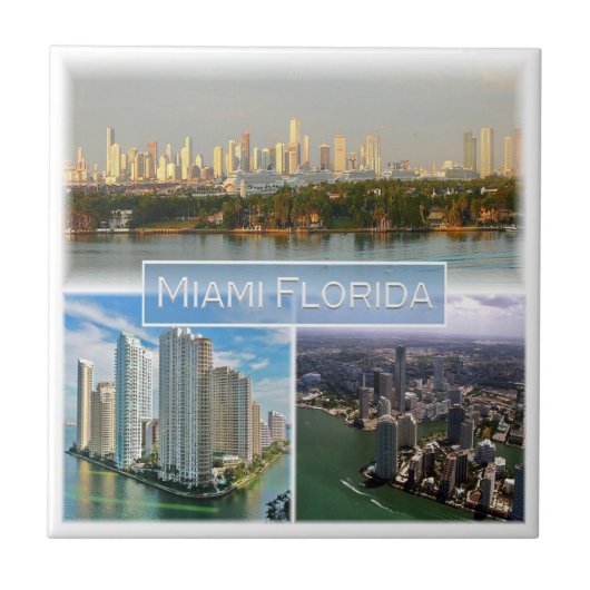 zUS038マイアミ、フロリダ、モザイク、アメリカ、 タイル (正面)