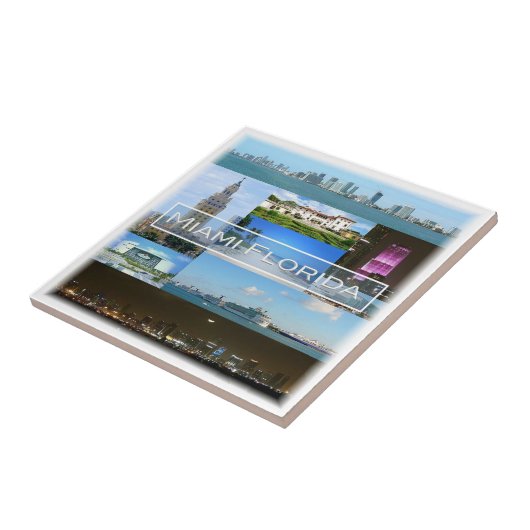 zUS040 MIAMI，フロリダ，モザイク，アメリカ， タイル (側面)