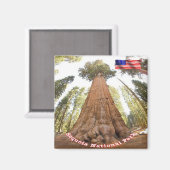 zUS127 SEQUOIA N.P.ジェネラル・シャーマン冷蔵庫 マグネット (正面/裏面)