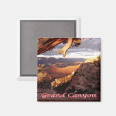 zUS136 GRAND CANYON National Park,アリゾナ,冷蔵庫 マグネット (正面/裏面)