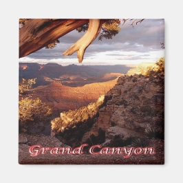 zUS136 GRAND CANYON National Park，アリゾナ，冷蔵庫 マグネット