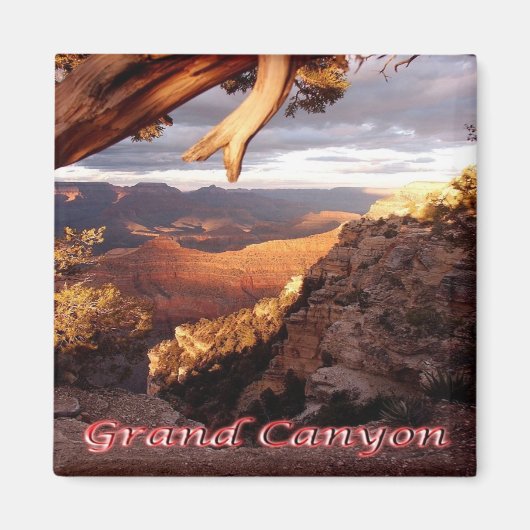 zUS136 GRAND CANYON National Park,アリゾナ,冷蔵庫 マグネット (正面)