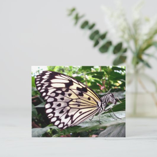 Zutterflyはがき ポストカード (スタンド正面)