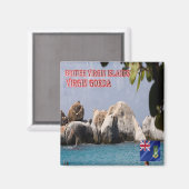 zVG010ヴァージンゴルダ,英国ヴァージン諸島,冷蔵庫 マグネット (正面/裏面)