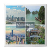 zVN012 VIETNAM, Mosaic, Asia, タイル (正面)