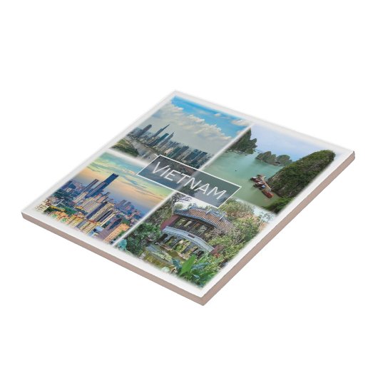 zVN012 VIETNAM, Mosaic, Asia, タイル (側面)