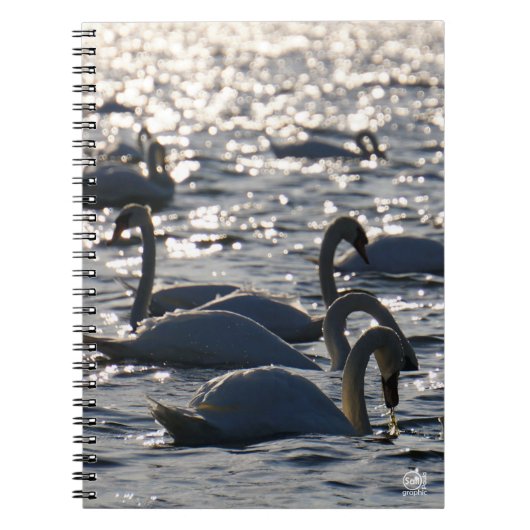 Zwanen in een groep op het water met glinsterend z ノートブック (正面)