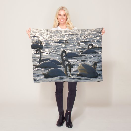 Zwanen in een groep op het water met glinsterend z フリースブランケット (インサイチュ)
