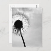 Zwart wit Pardebloem Black and White Dandelion ポストカード (正面/裏面)