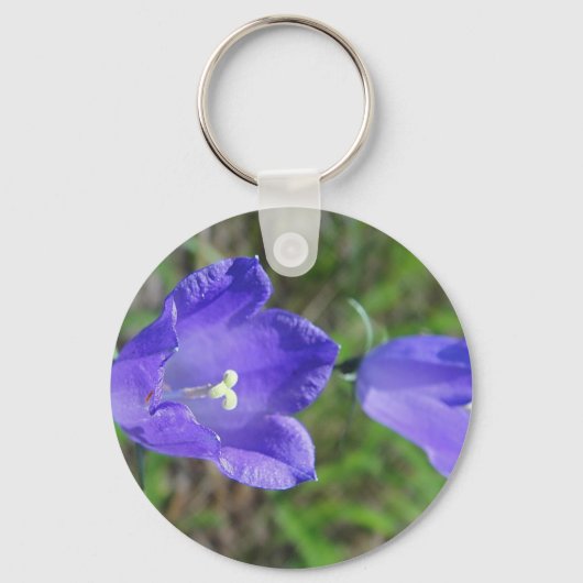 Zwei blaue Glockenblumen キーホルダー (正面)