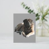 Zwei englische Doggen Mastiff im Urlaub ポストカード (スタンド正面)