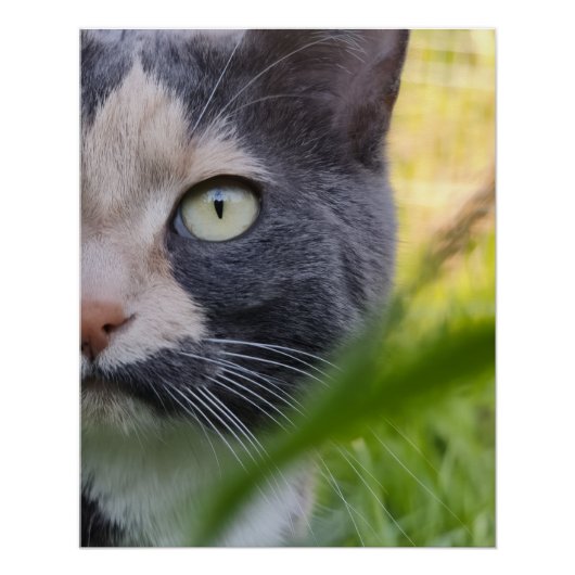 Zwischen Halmen – Kobayashi im Grünen ポスター (正面)