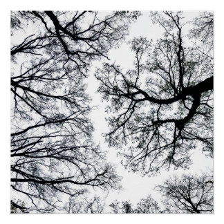 Zwollenarフラクタル ポスター