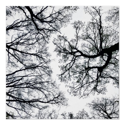 Zwollenarフラクタル ポスター (正面)