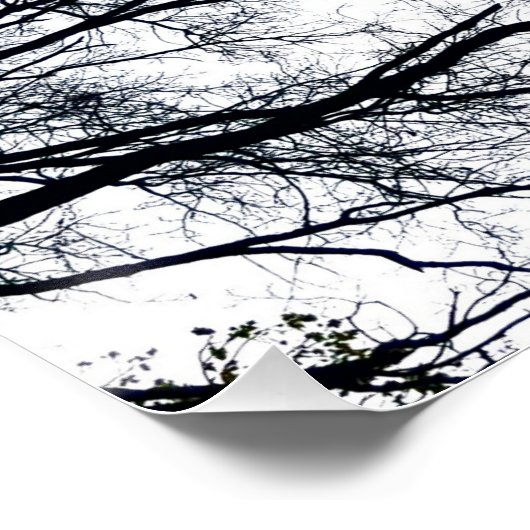 Zwollenarフラクタル ポスター (コーナー)