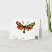 Zygaenaのカーニオリカ – ザクリプスキュラバーネット蛾 カード (裏面)