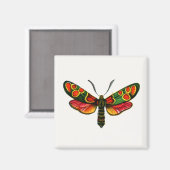 Zygaenaのカーニオリカ – ザクリプスキュラバーネット蛾 マグネット (正面/裏面)