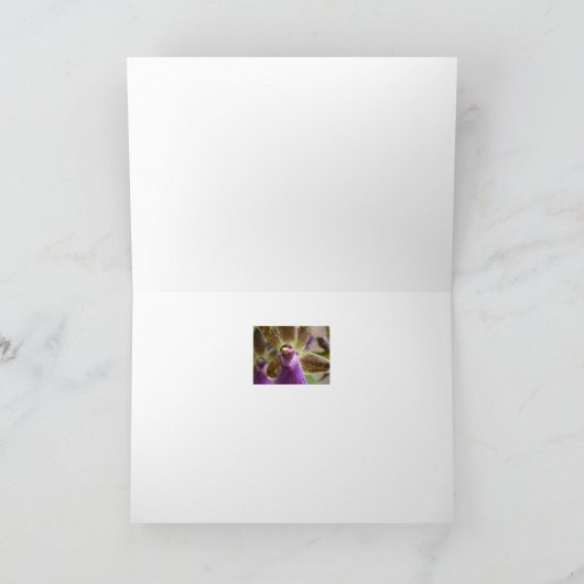 Zygopetalumの蘭 カード (内部)