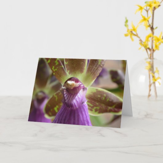 Zygopetalumの蘭 カード (黄色い花)