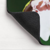 Zygopetalumの蘭 マウスパッド (コーナー)