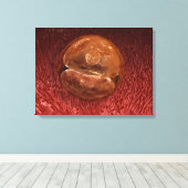 Zygote開発： 24～36時間 キャンバスプリント (インサイチュ (ウッドフロア))