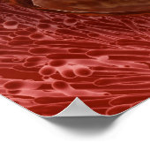 Zygote開発: 24~36時間 ポスター (角)