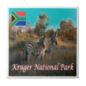 zZA004 KRUGEN国立公園、南アフリカ、 タイル (正面)