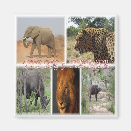 zZA027 SOUTH AFRICA, THE BIG 5 in KRUGER NP冷蔵庫 マグネット (正面)