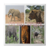 zZA027 SOUTH AFRICA, THE BIG 5 in KRUGER NP タイル (正面)