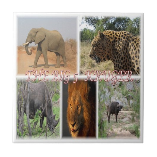 zZA027 SOUTH AFRICA, THE BIG 5 in KRUGER NP タイル (正面)