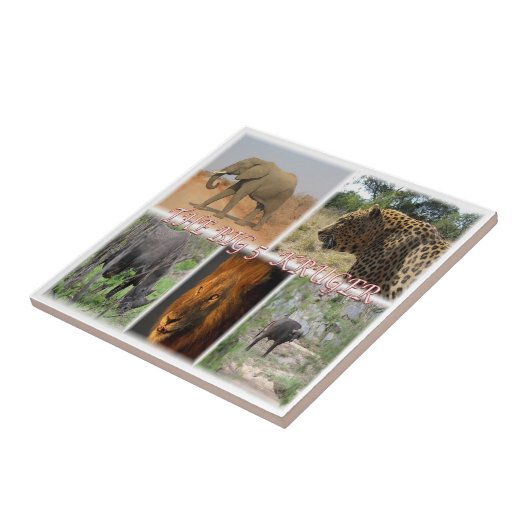 zZA027 SOUTH AFRICA, THE BIG 5 in KRUGER NP タイル (側面)