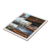 zZA028 JOHANNESBURG，モザイク，南， タイル (側面)