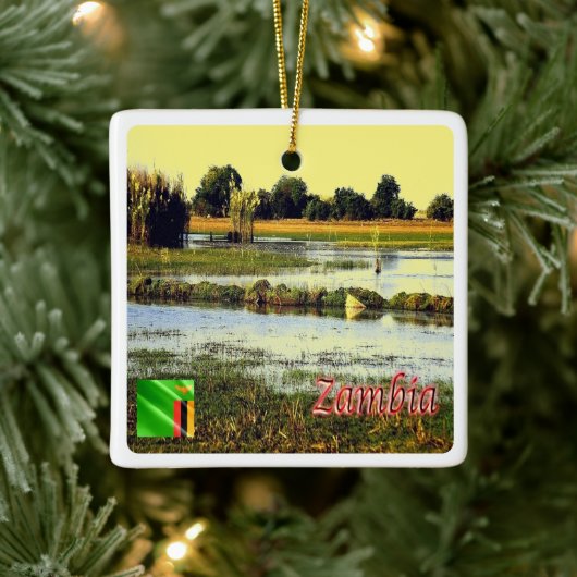 zZM004 ZAMBIA, Bangweulu Swamps，アフリカ， セラミックオーナメント (ツリー)