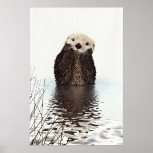 Otter 動物ポスター イラスト ポップアートポスター