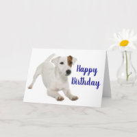 かわいい子犬の恋人ジャックラッセルテリア誕生日 カード | Zazzle.co.jp