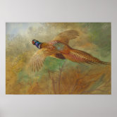 プヴィスデシャヴァンヌファンタジーペガサスCC0036 ポスター | Zazzle