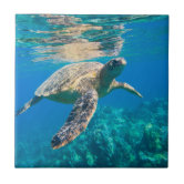 ウミガメ タイル | Zazzle.co.jp