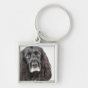 コッカースパニエルキーホルダー | Zazzle JP