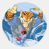 サンダーキャッツ | Tygraキャラクター図 ラウンドシール