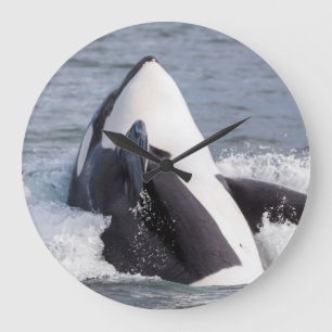 シャチ 時計 | Zazzle JP