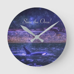 シャチ壁時計 | Zazzle JP